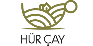 Hürçay